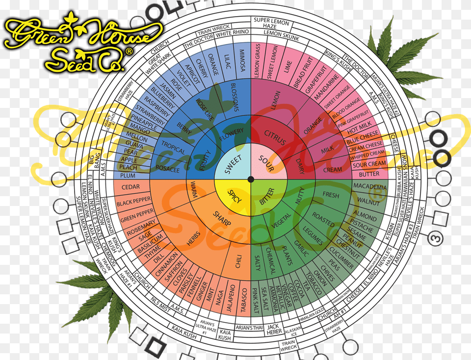 Buy A Mixed Bag Weed Flavors Chart Png Image