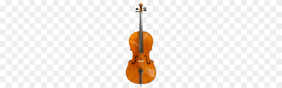 Buy Advanced Cellos Online Or In Store Simply For Strings, Cello, Musical Instrument, Violin Free Png