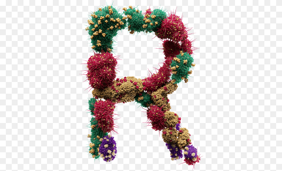 Buy Bacteria Font To Create New Form Of Design Life Wreath, Plant, Flower, Flower Arrangement Png Image