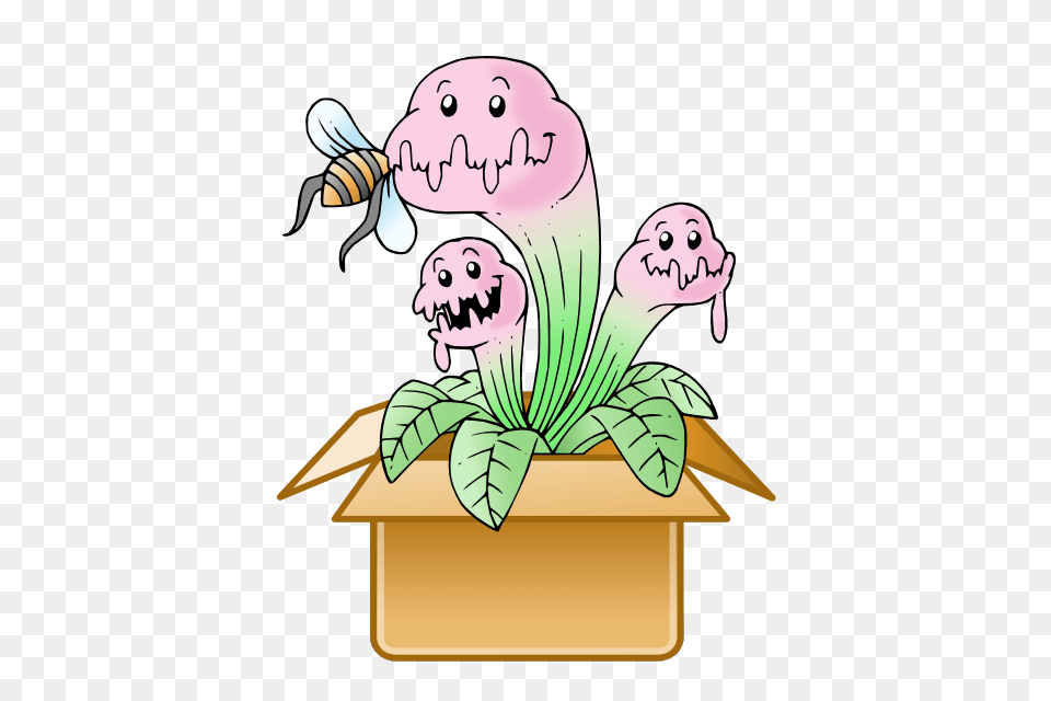 Buy Bargain Venus Fly Traps, Animal, Bee, Honey Bee, Insect Free Transparent Png