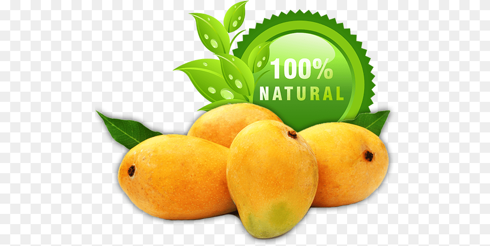 Buy Best Alphonso Mangoes Online Ratnagiri Alphonso Mangoes, Food, Fruit, Plant, Produce Png Image