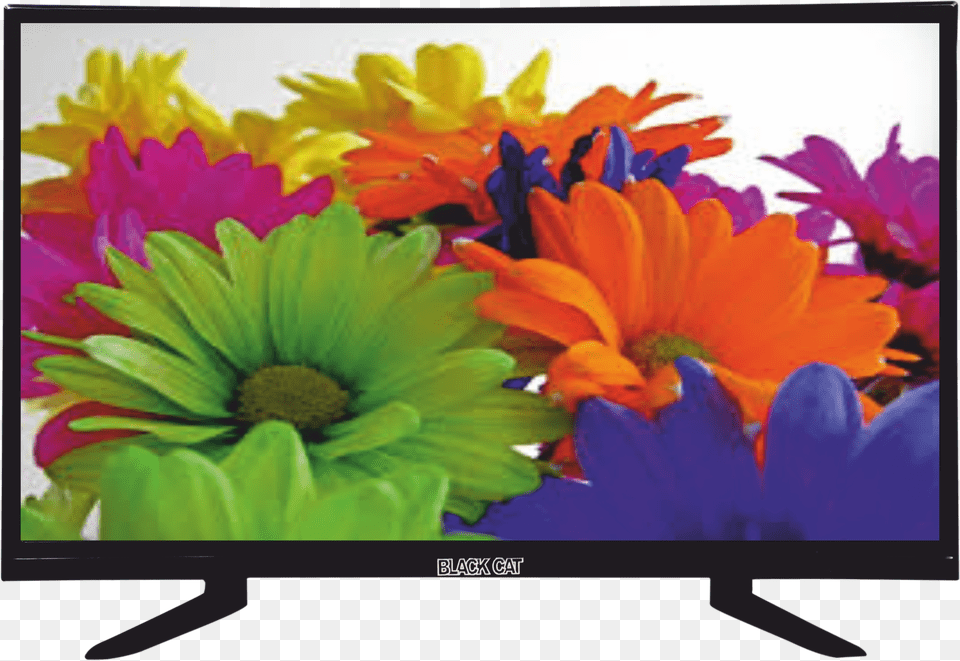 Buy Black Cat Bc Fhd Led Tv 24inch 60 Cm Full Hd Fhd Png Image