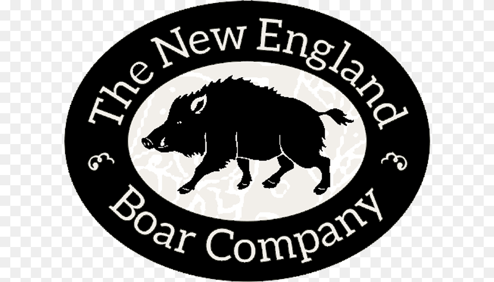 Buy Boar Meat Online Wild Boar, Animal, Mammal, Pig, Hog Free Png Download