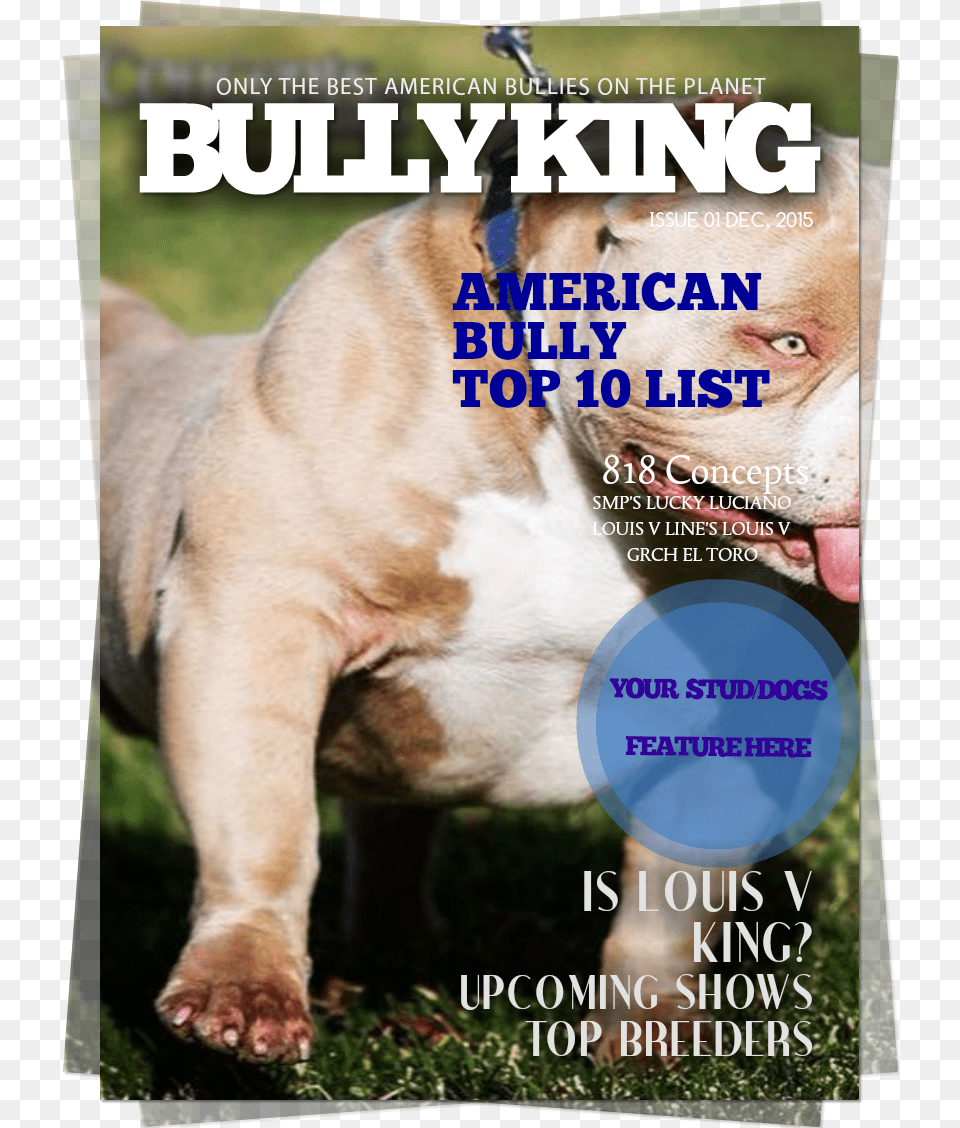 Buy Bully King Year Subscription Now Pregadores Da Palavra De Deus, Advertisement, Poster, Snout, Publication Free Png
