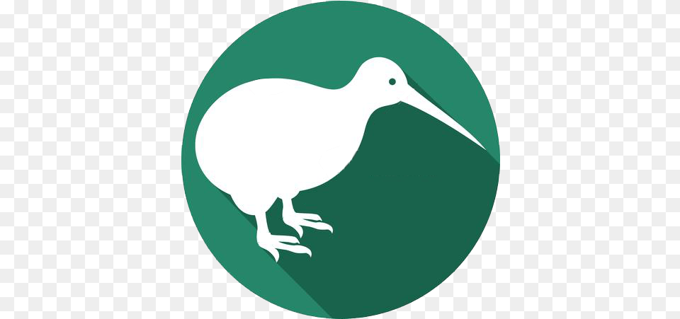 Buy Cheap Kiwi Followers Likes Amp Shares Kiwi, Animal, Bird, Kiwi Bird Free Png Download
