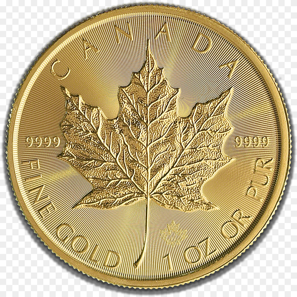 Buy Gold Maple 2019 1 Oz Low Cost Coins In Singapore Gourmet Burger Bistro, Leaf, Plant Free Png Download