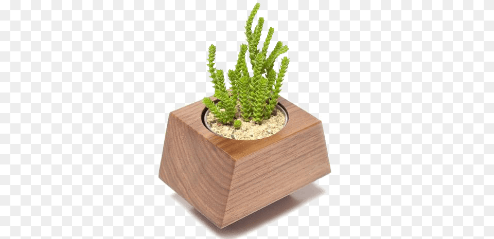 Buy Gourmet Box Car Planter Care Packages From Revolution Cachepot, Jar, Plant, Potted Plant, Pottery Free Transparent Png