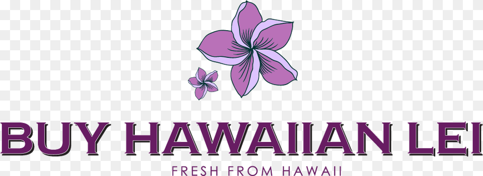 Buy Hawaiian Lei Clematis, Flower, Plant, Purple, Petal Png