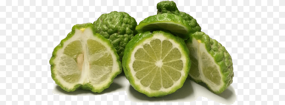 Buy Kaffir Limes Online Key Lime, Citrus Fruit, Food, Fruit, Plant Free Png Download