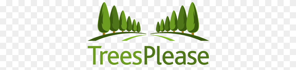 Buy Retail Plants Online Trees For Sale, Conifer, Grass, Green, Plant Free Transparent Png