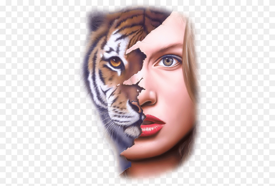 Buy Tiger Beauty Short Sleeve Tee At Wish Jim Warren Tiger, Adult, Person, Female, Woman Png Image