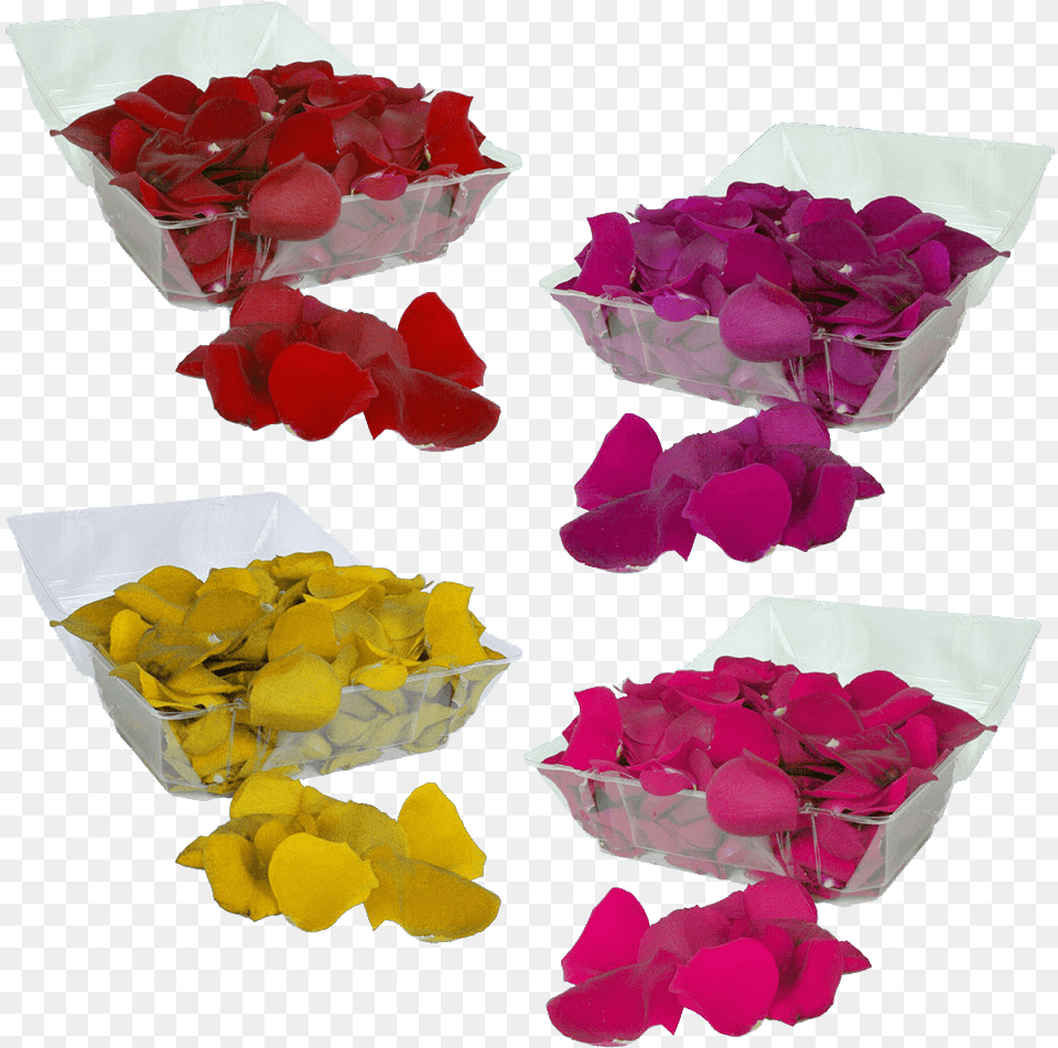Buy Your Choice Of Rose Petals Lovely, Flower, Flower Arrangement, Flower Bouquet, Petal Free Transparent Png