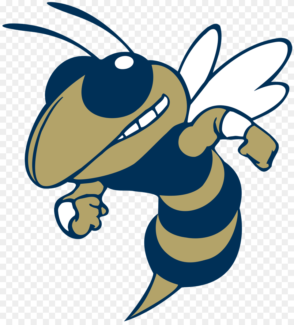Buzz, Animal, Bee, Honey Bee, Insect Free Transparent Png