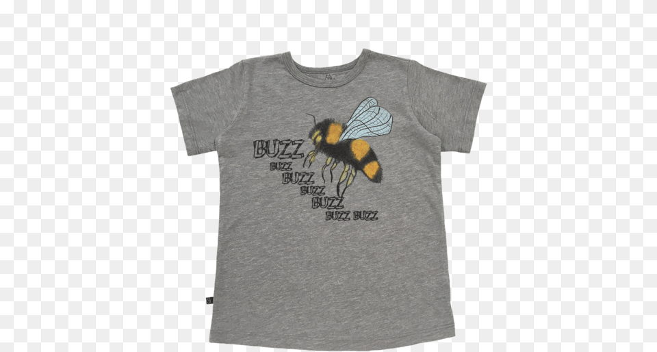 Buzz Buzz Boys Tee T Shirt, Animal, T-shirt, Invertebrate, Insect Png