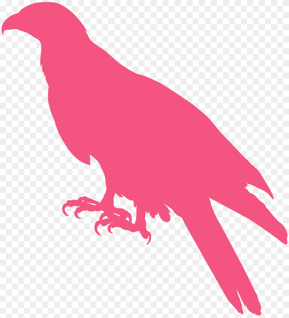 Buzzard Silhouette, Animal, Beak, Bird, Fish Free Transparent Png