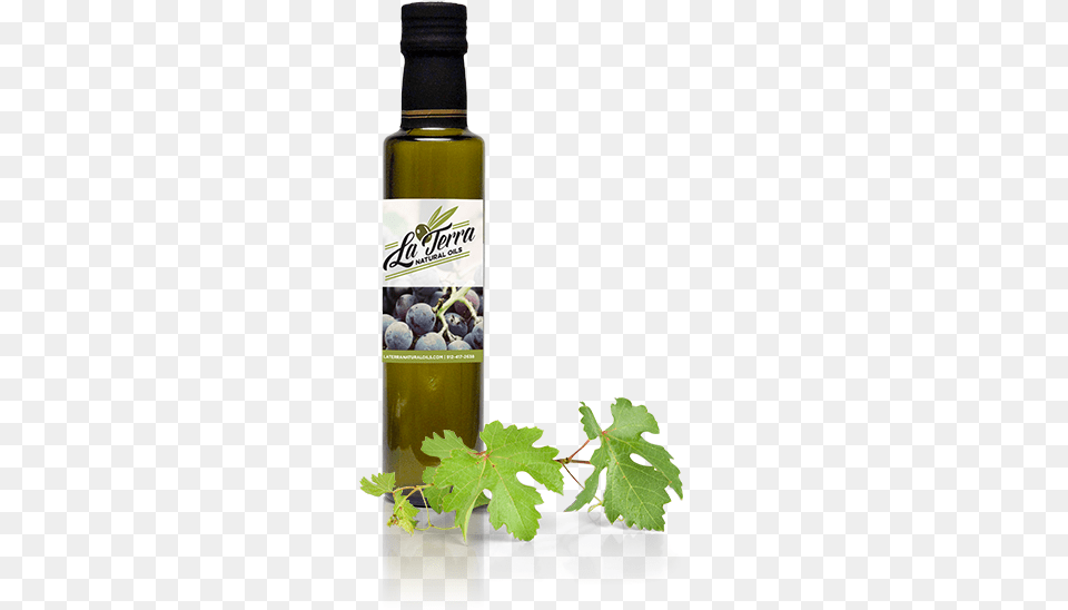 Bv Rosato Balsamic Vinegar Apple Cider Vinegar, Food, Fruit, Plant, Produce Png Image
