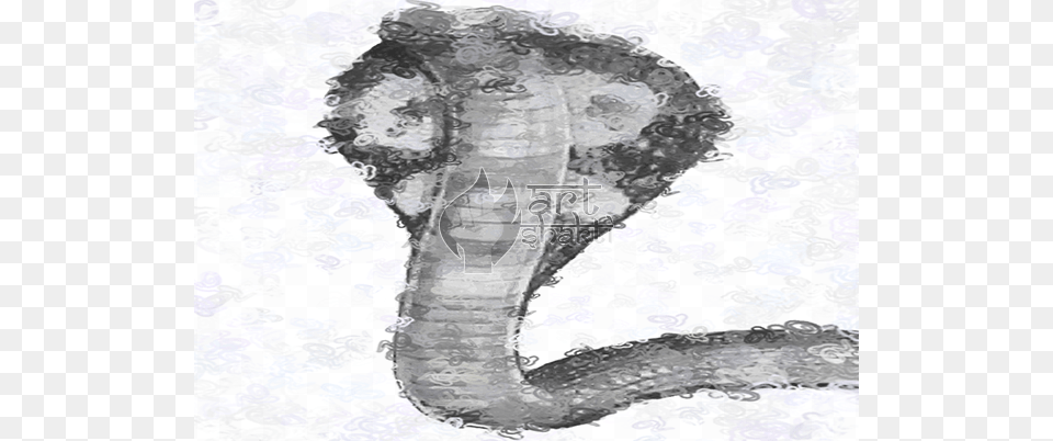 Bw Abstract Cobra Sketch, Animal, Reptile, Snake Free Png Download