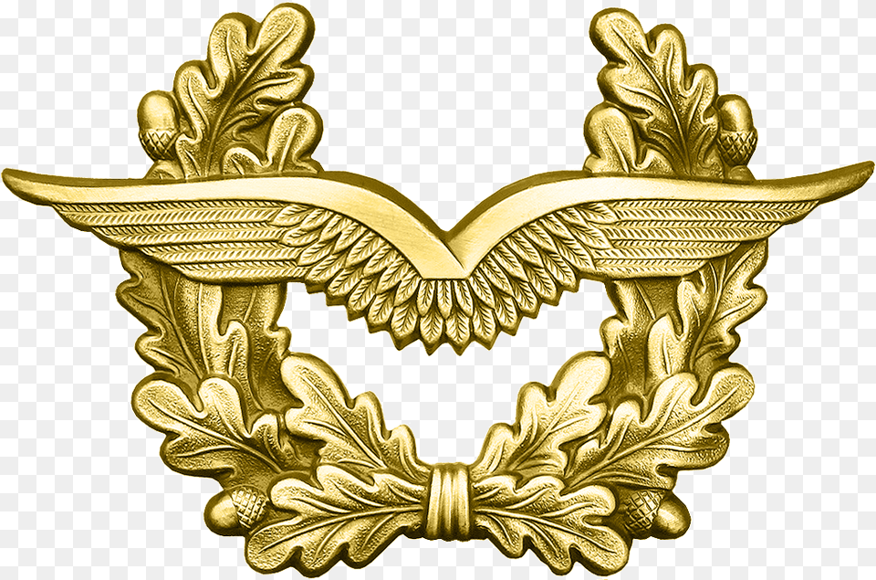 Bw Schirmmtze Luftwaffe Gold German Airforce Eagle, Treasure, Accessories, Badge, Logo Free Png Download