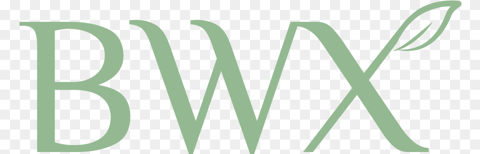 Bwx Logo 2018 Green Parallel, Text, Dynamite, Weapon Png