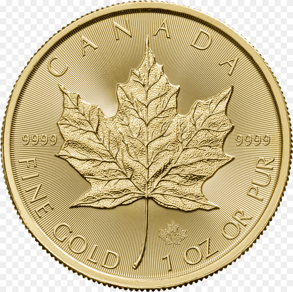 By 1982 The Gold Refining Process Was Improved Yielding Centenario 50 Pesos, Leaf, Plant Png Image