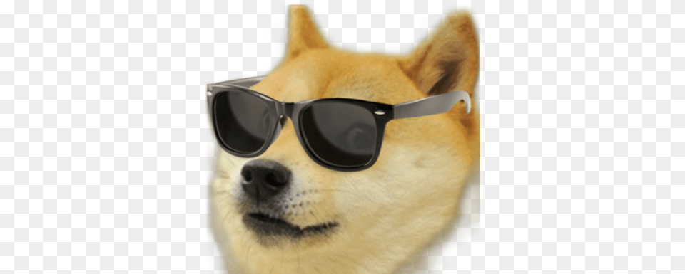 By Adam Dunn Doge, Accessories, Sunglasses, Glasses, Animal Free Png