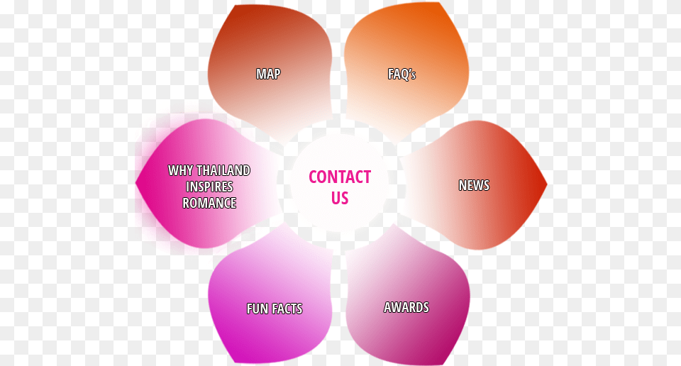 By Continuing You Agree With Our Privacy Policy And Diagram, Flower, Petal, Plant, Person Free Png Download