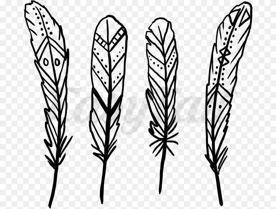 By Didi Fox Tattoo Feathers Easy, Grass, Plant, Herbal, Herbs Free Png Download