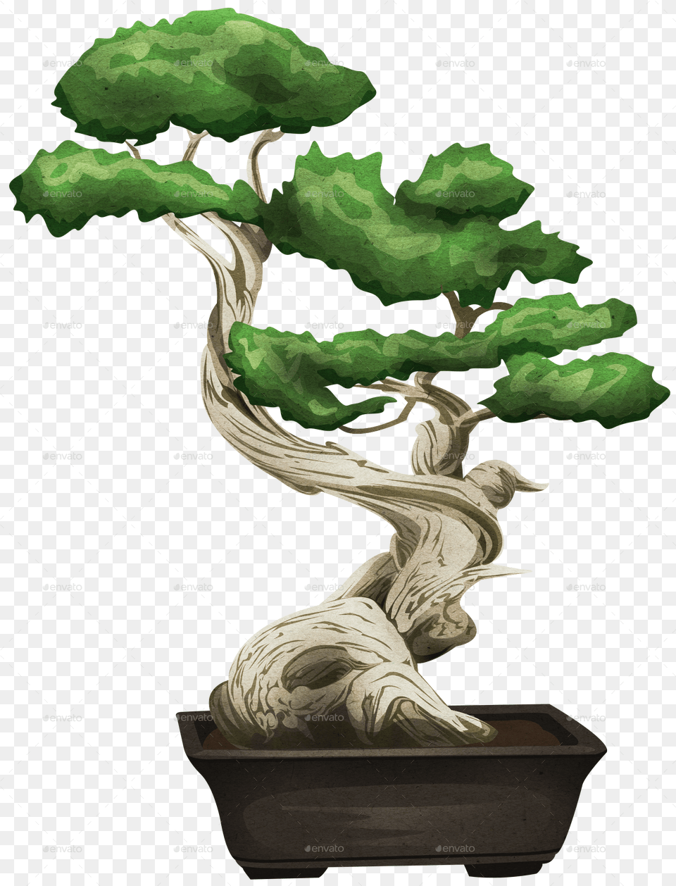 By Howliekat Graphicriver Jpgbonsaijpg Bonsai, Plant, Potted Plant, Tree Free Transparent Png