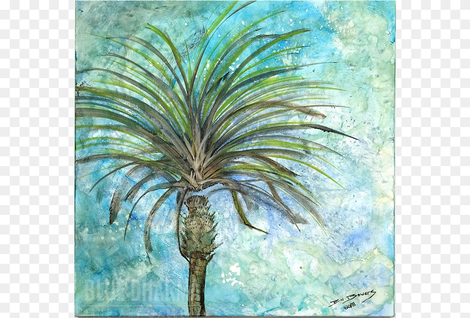 By Sarasota, Palm Tree, Plant, Tree, Art Free Png