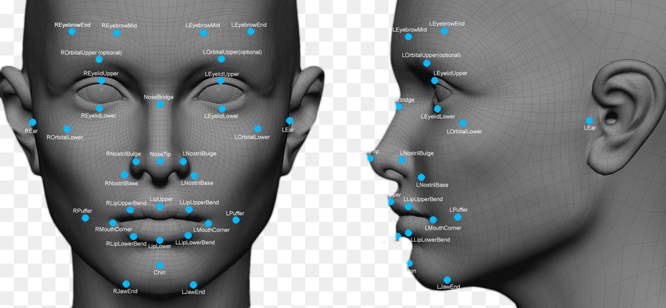 By Simon Davies Face Recognition, Head, Person, Body Part, Neck Free Transparent Png