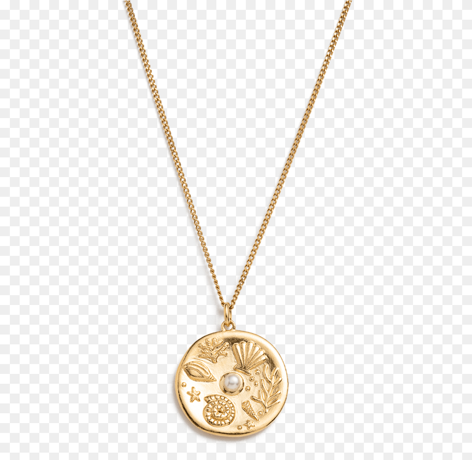 By The Sea Coin Necklace 18k Goldvermeil Colgante Corazn Oro Circonita, Accessories, Jewelry, Pendant, Gold Free Transparent Png