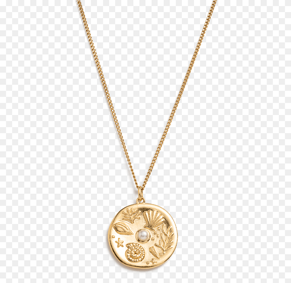 By The Sea Coin Necklace Necklace, Accessories, Jewelry, Pendant, Gold Free Png Download