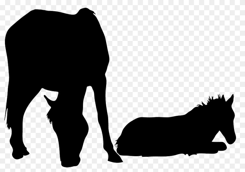 Byrds Horse Silhouette, Clothing, Coat, Animal, Mammal Free Png