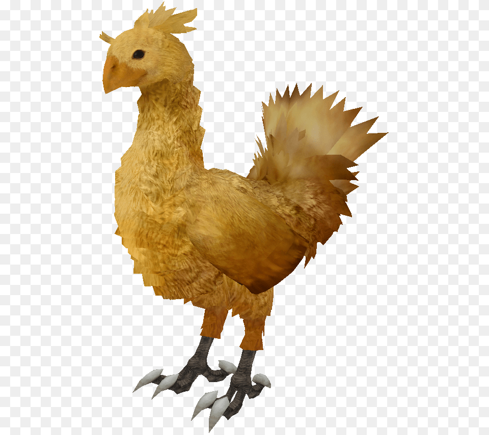 C Chocobo Ffxiii Render Final Fantasy Chocobo Render, Animal, Bird, Chicken, Fowl Png Image