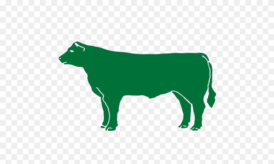 C E O Natural Angus Beef Llc, Green, Blackboard Free Transparent Png