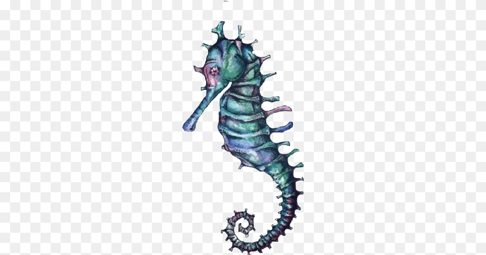 Caballito Freetoedit Scseahorse Seahorse Illustration, Animal, Mammal, Sea Life, Person Png Image