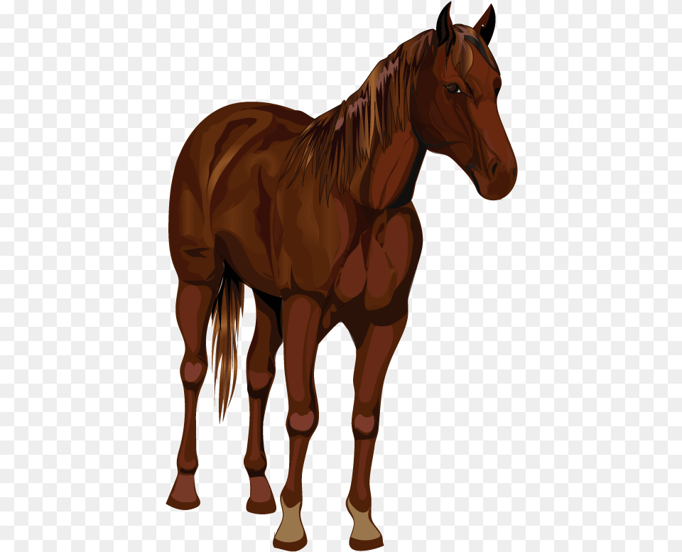 Caballo 02 Sorrel, Animal, Colt Horse, Horse, Mammal Png Image