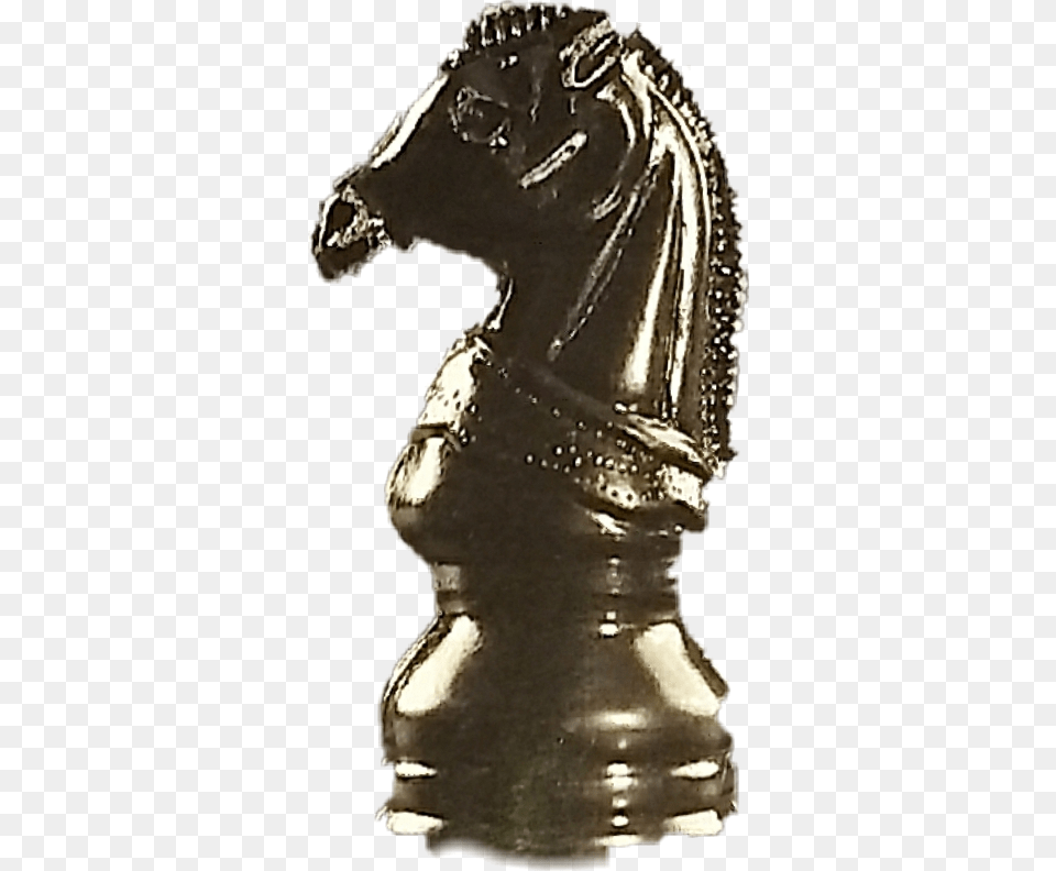 Caballo Caballo De Ajedrez Ajedrez Caballo De Ajedrez, Bronze, Adult, Bride, Female Free Png