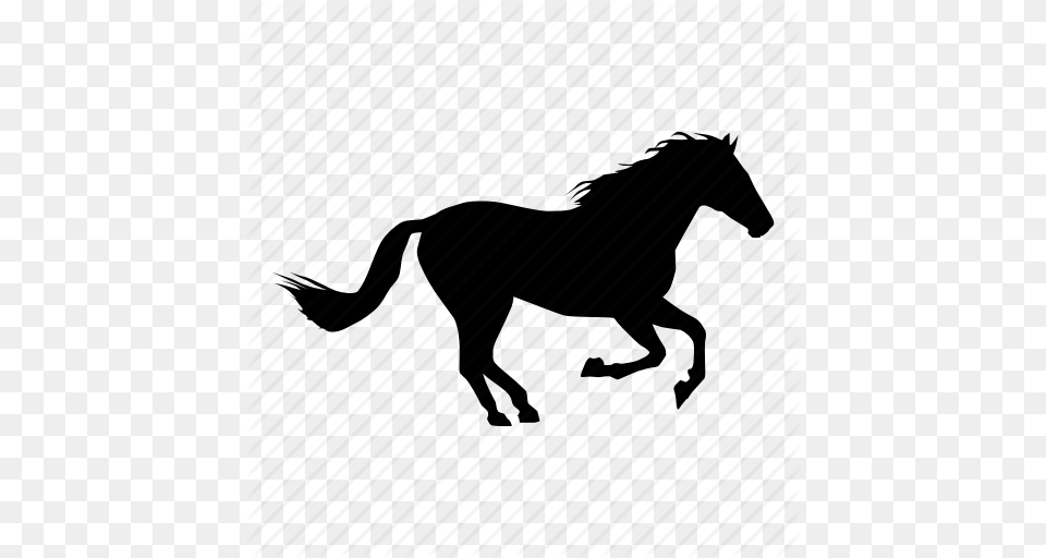 Caballo Horse Icon, Silhouette, Animal, Colt Horse, Mammal Png