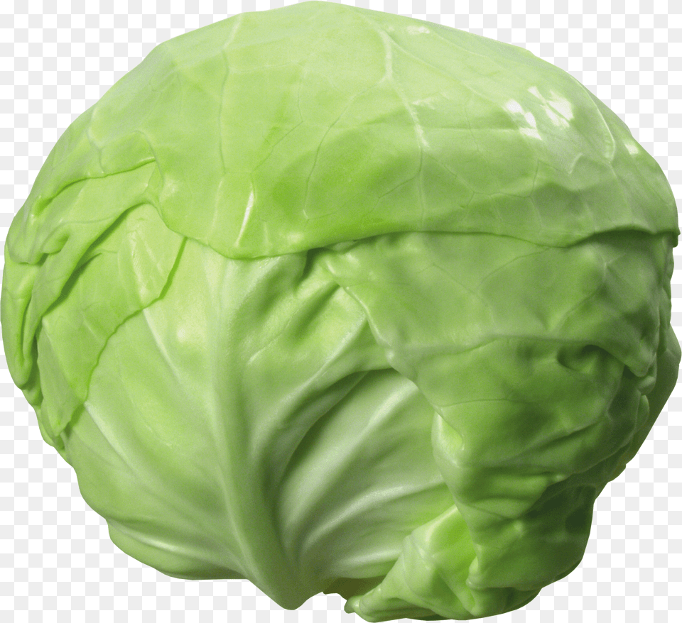 Cabbage Png Image