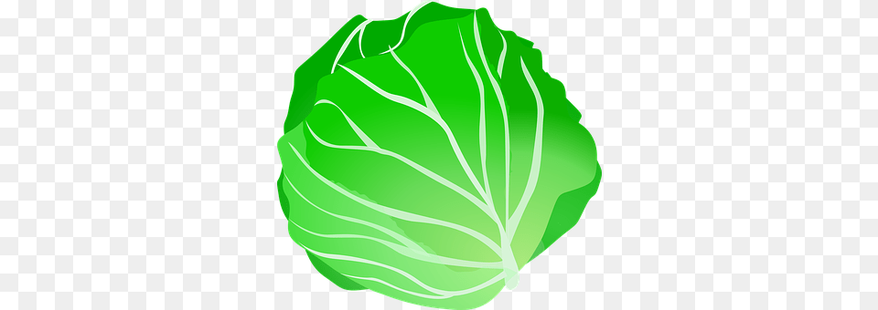 Cabbage Food, Leafy Green Vegetable, Plant, Produce Free Png