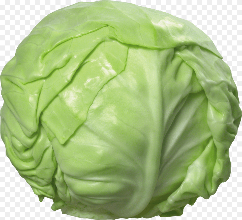 Cabbage Free Png Download