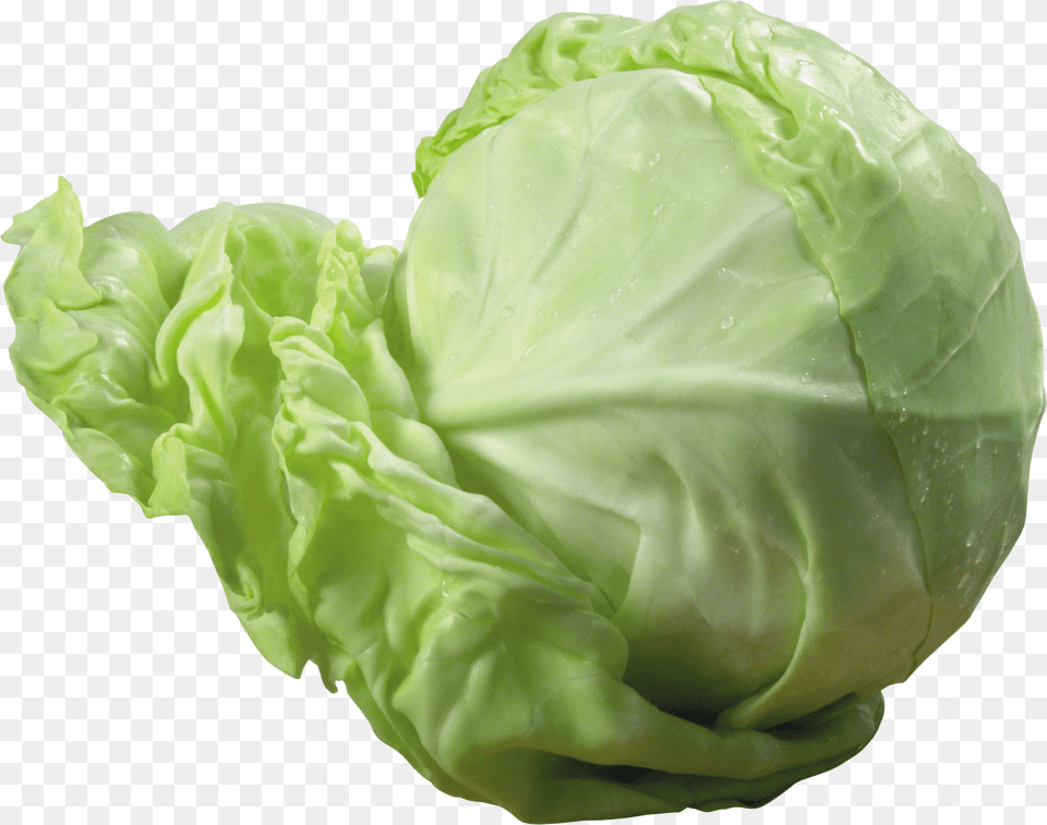 Cabbage, Adult, Smile, Portrait, Photography Free Png Download