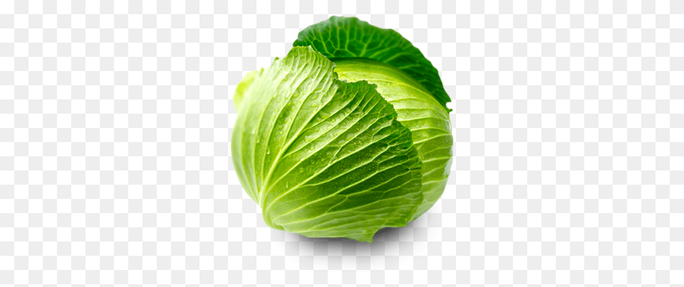 Cabbage, Food, Leafy Green Vegetable, Plant, Produce Png Image