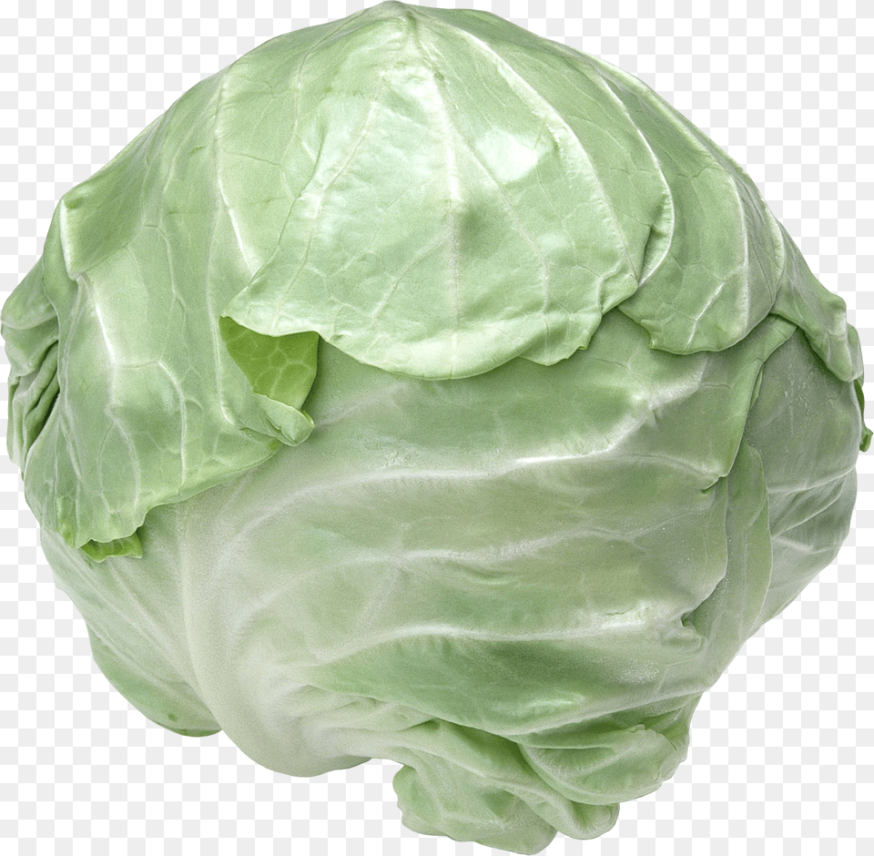 Cabbage Free Png