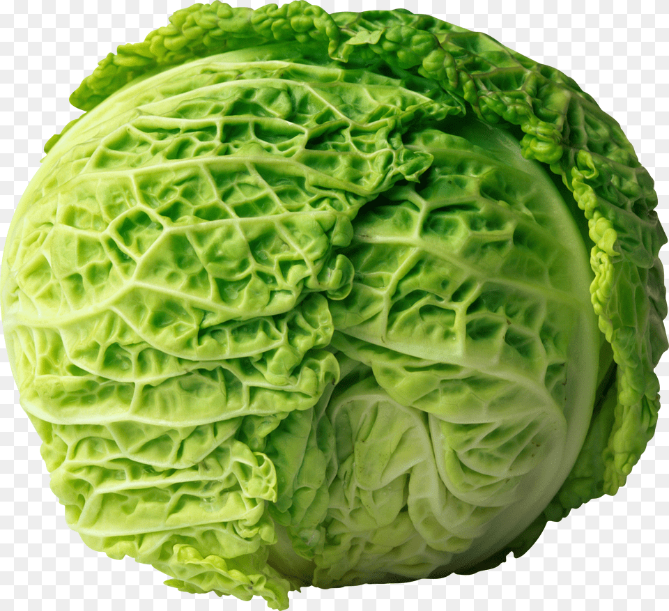 Cabbage Free Transparent Png