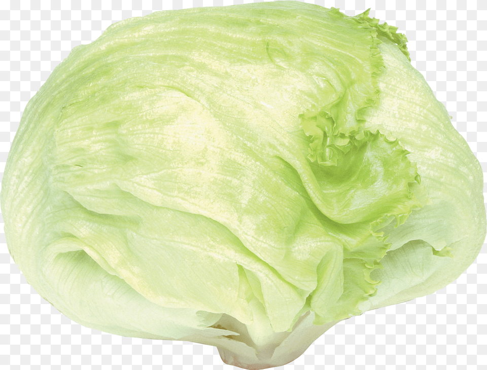 Cabbage Png Image