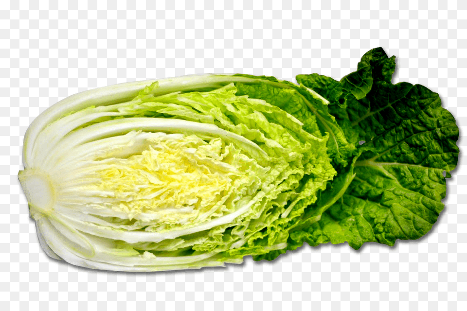 Cabbage, Food, Produce, Leafy Green Vegetable, Plant Free Transparent Png