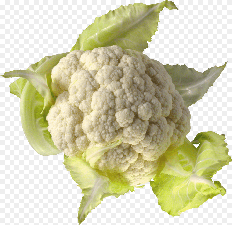 Cabbage Free Transparent Png