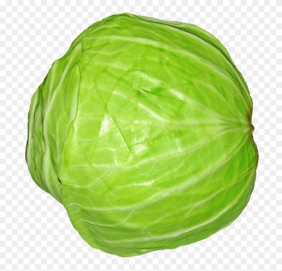 Cabbage, Vegetable, Produce, Plant, Food Free Png